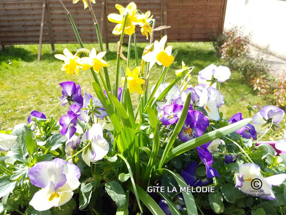 Gite La Melodie Longueville (Seine-et-Marne) Exterior foto